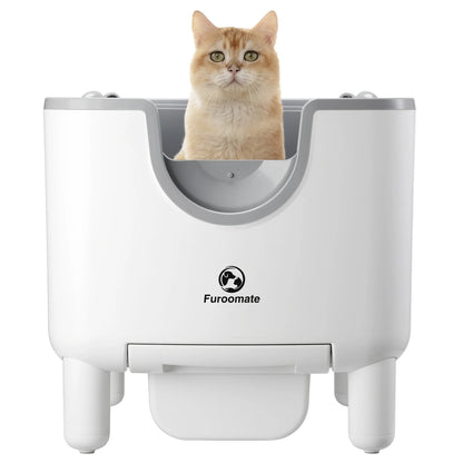 AutoScooper Self-Cleaning Litter Box